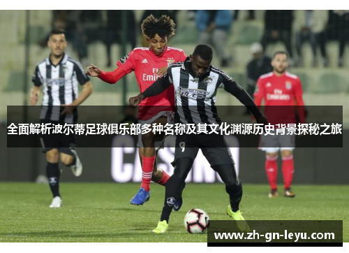 全面解析波尔蒂足球俱乐部多种名称及其文化渊源历史背景探秘之旅 全面解析波尔蒂足球俱乐部多种名称及其文化渊源历史背景探秘之旅