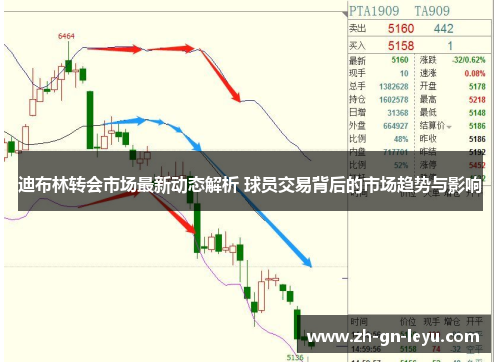迪布林转会市场最新动态解析 球员交易背后的市场趋势与影响