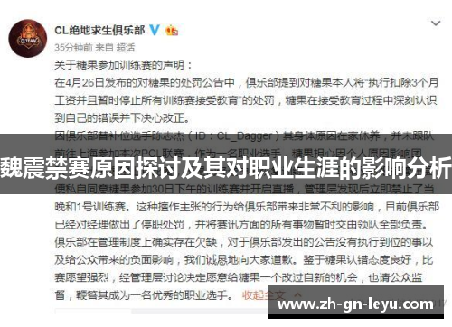 魏震禁赛原因探讨及其对职业生涯的影响分析